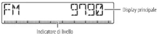 FM 9790 Indicatore di livello Display principale