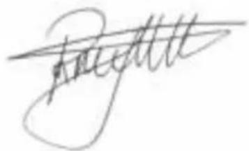 BESTRON ATS1000M - 1