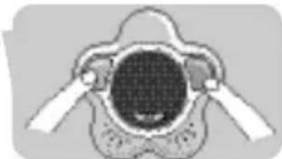 PHILIPS SCD910 - Modo de desactivação automática - 1