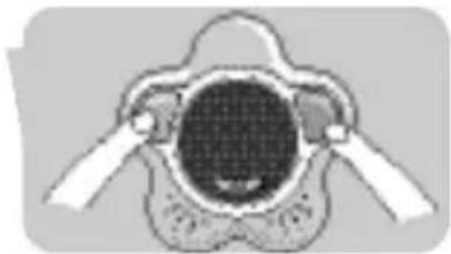 PHILIPS SCD910 - Att leka med den magiska spegeln - 2