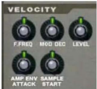 PROPELLERHEAD Reason 5.0 - Boutons de contrôle de la velocité - 1