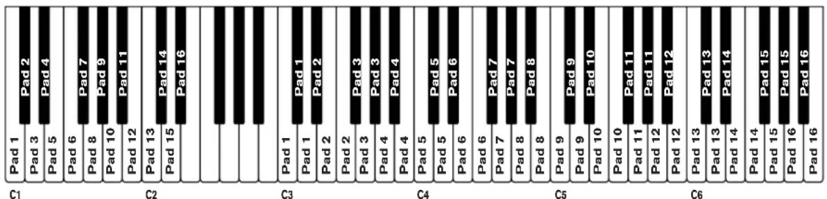 PROPELLERHEAD Reason 5.0 - Vérifier lessons dans un patch de kit - 3