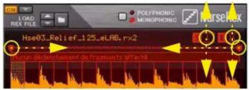 PROPELLERHEAD Reason 5.0 - Types de coups (modes de lecture) - 3