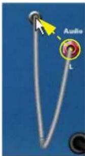 PROPELLERHEAD Reason 5.0 - Connexion de câbles - 1