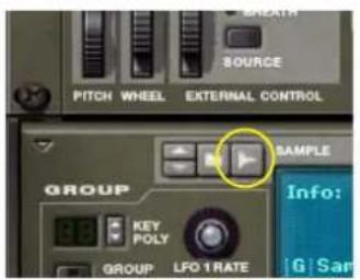 PROPELLERHEAD Reason 5.0 - Les différencs boutons Sample - 1