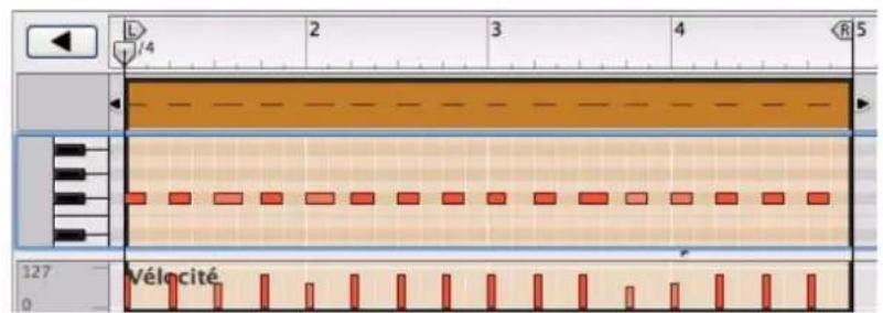 PROPELLERHEAD Reason 5.0 - Cliquez sur le bouton « Appliquer » de la quantification. - 2