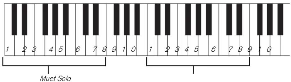 PROPELLERHEAD Reason 5.0 - Muet &amp; Solo - 2