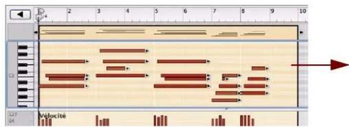 PROPELLERHEAD Reason 5.0 - Échelle du tempo - 2