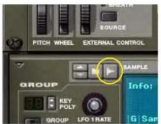 PROPELLERHEAD Reason 7.0 - Les différents boutons Sample - 1