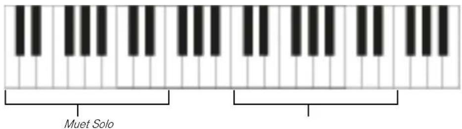 PROPELLERHEAD Reason 7.0 - Mute &amp; Solo - 2