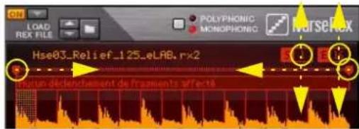 PROPELLERHEAD Reason 7.0 - Types de coups (modes de lecture) - 2