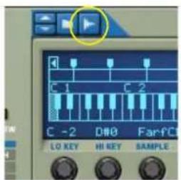 PROPELLERHEAD Reason 7.0 - Les différents boutons Sample - 2