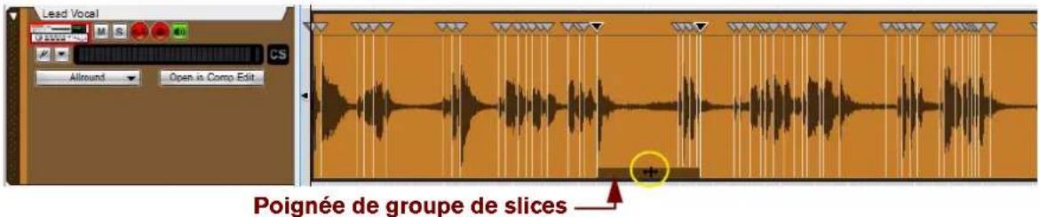 PROPELLERHEAD Reason Essentials 2.0 - Déplacement de plusieurs marqueurs de slice - 1