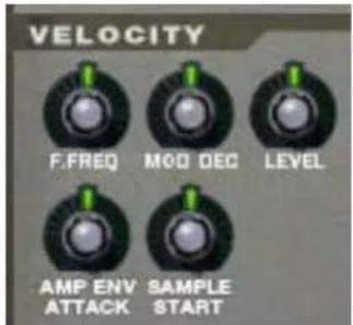 PROPELLERHEAD Reason Essentials 2.0 - Les contrôleurs de vélocité - 1
