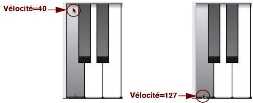 PROPELLERHEAD Reason Essentials 2.0 - Mode souris - 2