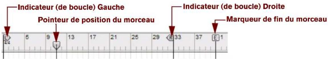 PROPELLERHEAD Reason Essentials 2.0 - Détails de la règle - 1