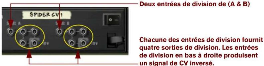 PROPELLERHEAD Reason Essentials 2.0 - Division de CV - 1