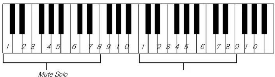 PROPELLERHEAD Reason Essentials 2.0 - Mute &amp; Solo - 2