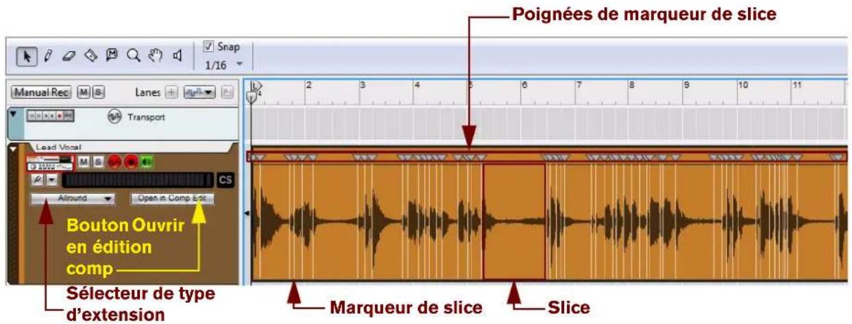 PROPELLERHEAD Reason Essentials 2.0 - Éléments de clip audio directement sur la piste audio - 1