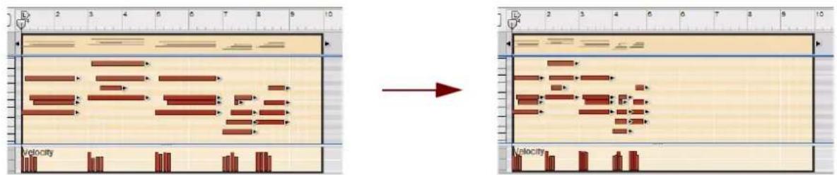 PROPELLERHEAD Reason Essentials 2.0 - Échelle du tempo - 2
