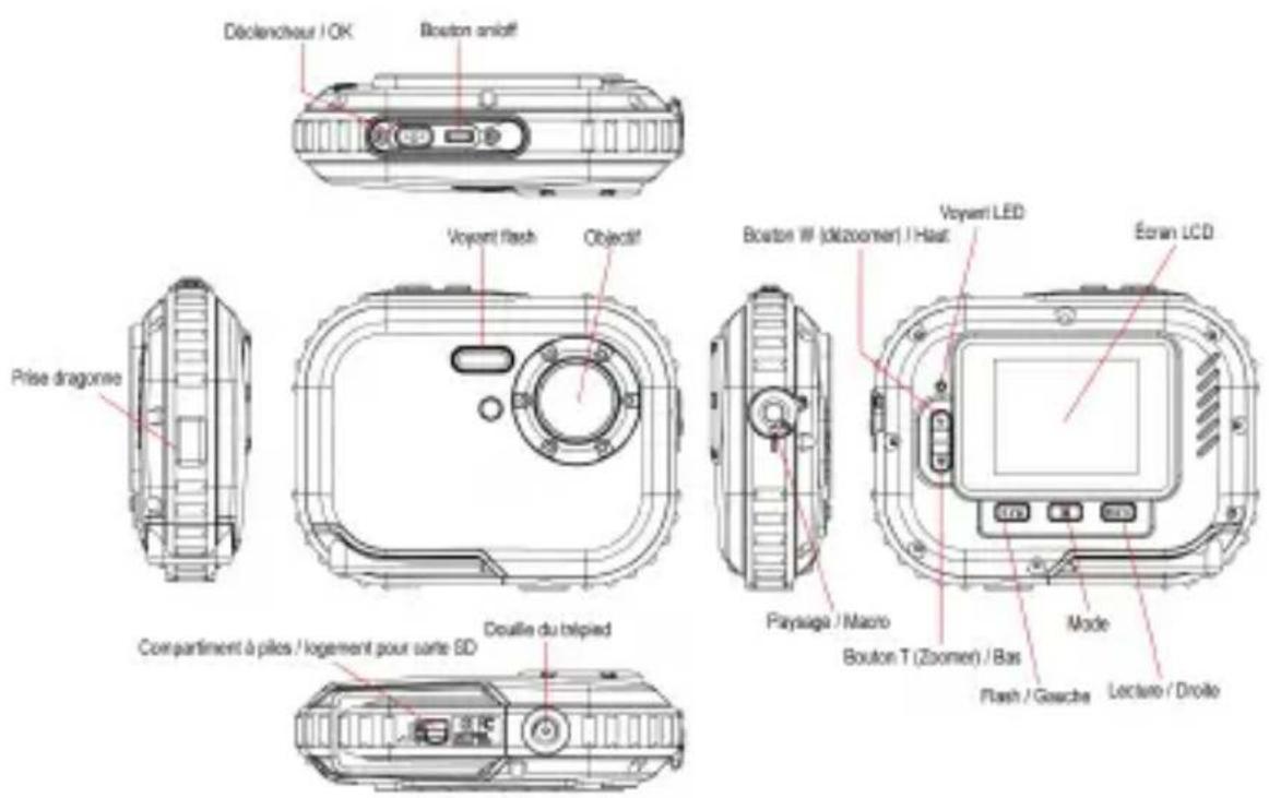 EASYPIX Octonauts - Caracteristiques d'étanchéité et de résistance à la poussière - 1