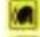 EASYPIX W508 - Szene - 6