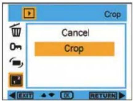 EASYPIX W508 - Cosecha: - 1