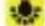 EASYPIX W508 - Balance Blancs - 4