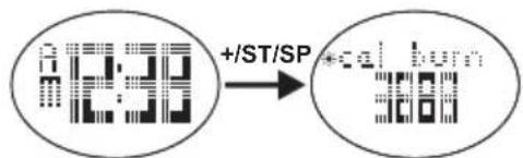 OREGON SCIENTIFIC SE336 - NORMALE OMSTANDIGHEDEN - 1