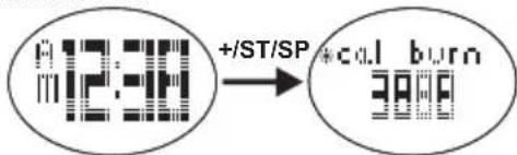 OREGON SCIENTIFIC SE336 - CONDITIONS NORMALES - 1