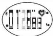 OREGON SCIENTIFIC SE336 - PENDANT L'ENTRAJINEMENT - 1