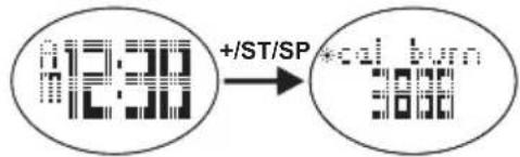 OREGON SCIENTIFIC SE336 - CONDITIONES NORMALES - 1