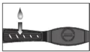OREGON SCIENTIFIC SE336 - Ceinture pectorale - 1