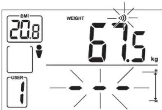 OREGON SCIENTIFIC GR101H - USER PROFILE MEASUREMENTS - 2