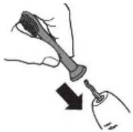 PHILIPS Sonicare Dailyclean 1100 HX3412 - Attaching the brush head - 1