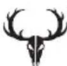BUSHNELL Trophy Cam 119774 - Bushnell - 2