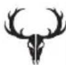 BUSHNELL Trophy Cam Aggressor HD - Bushnell - 2