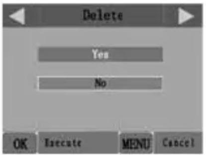 BUSHNELL Trophy Cam Black LED - REMARQUES IMPORTANTES - 2