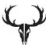 BUSHNELL Trophy Cam HD Agressor - Bushnell - 2