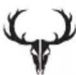 BUSHNELL Trophy Cam HD Agressor - Bushnell - 2