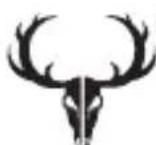 BUSHNELL Trophy Cam HD Agressor - Bushnell - 2