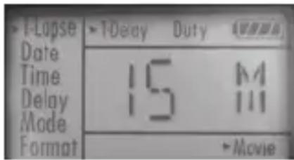 BUSHNELL X8 Trail Cam - Funzionamento Time-lapse ("T-lapse") - 1