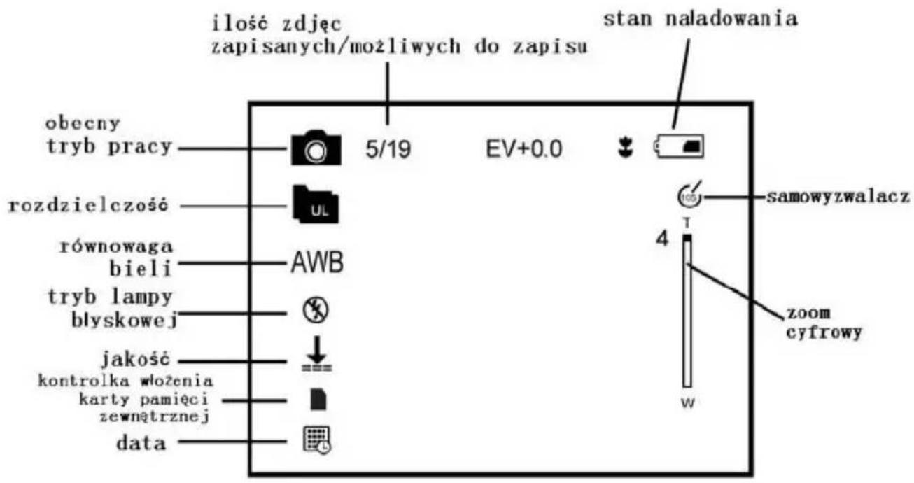 INGO Violetta VIC002O - Wyswietlacz - 1
