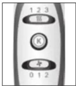 BOSCH Keratin Advance PHD5987S - Viktigt: - 1