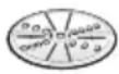 BOSCH MUM58225 - Cuchilla reversible para pallado - grueso / fino - 1