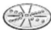 BOSCH MUM58225 - Rasp-draaischijf - grof / fijn - 1