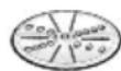 BOSCH MUM58225 - ДвoctopoHЯшатКIBNцЯ - Крунно /дрибно - 1