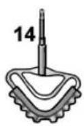 BOSCH MaxxiMUM MUMXL20P - Bosch-Infoteam - 8