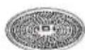 BOSCH MUM55761 - Natas batidas - 3