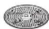 BOSCH MUM55761 - Raasteterä - keskihieno - 1